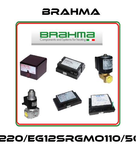 1391220/EG12SRGMO110/50-60 Brahma