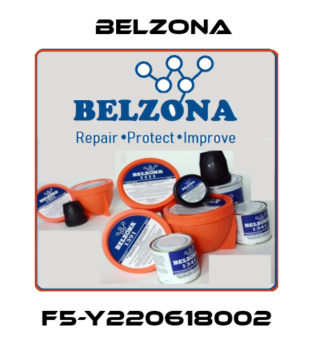 F5-Y220618002 Belzona