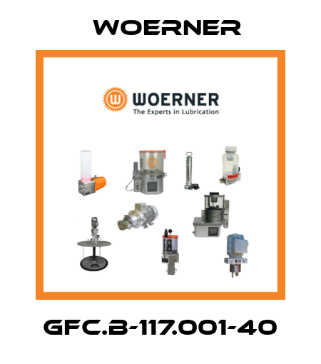 GFC.B-117.001-40 Woerner