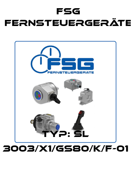 Typ: SL 3003/X1/GS80/K/F-01 FSG Fernsteuergeräte