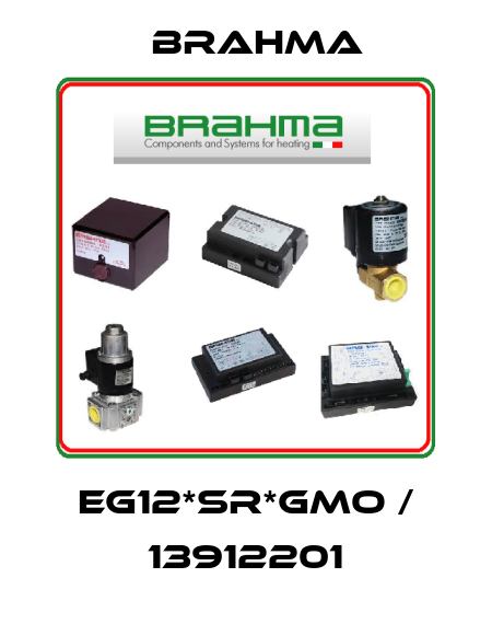 EG12*SR*GMO / 13912201 Brahma