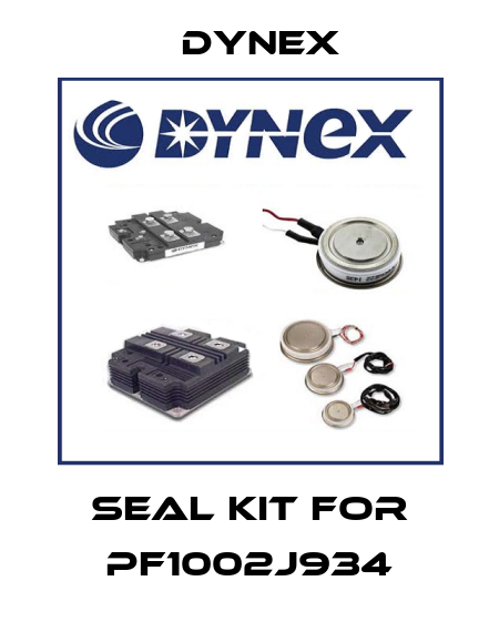 Seal kit for PF1002J934 Dynex
