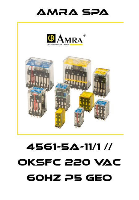 4561-5A-11/1 // OKSFC 220 Vac 60Hz P5 Geo Amra SpA