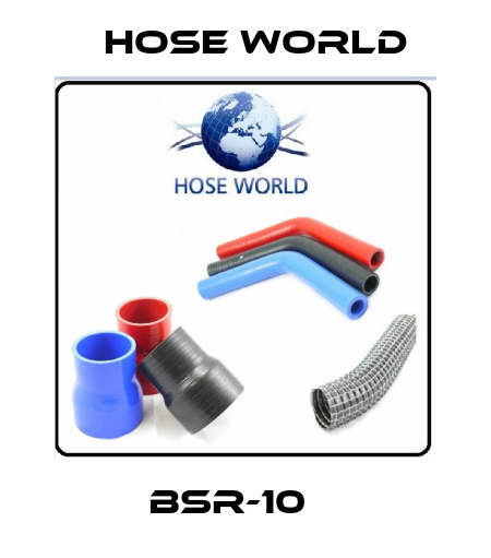 BSR-10    HOSE WORLD