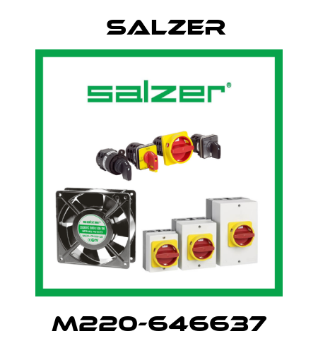 M220-646637 Salzer