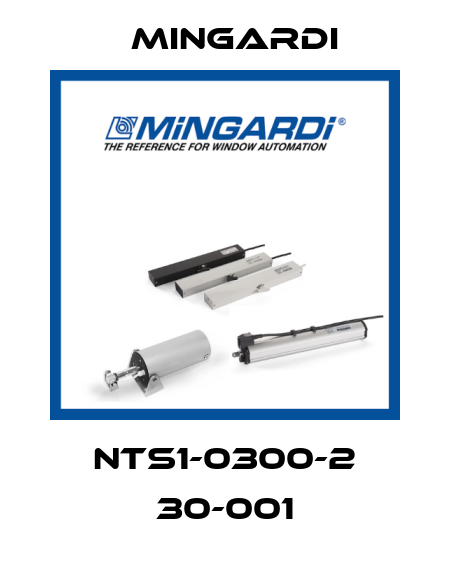 NTS1-0300-2 30-001 Mingardi