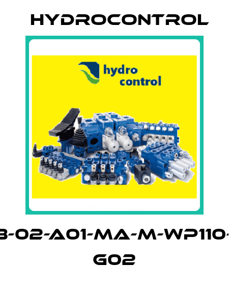 RCB-02-A01-MA-M-WP110-RA G02 Hydrocontrol