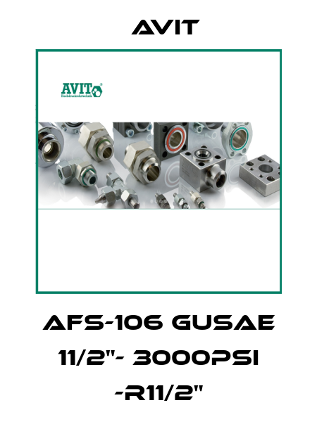 AFS-106 GUSAE 11/2"- 3000PSI -R11/2" Avit