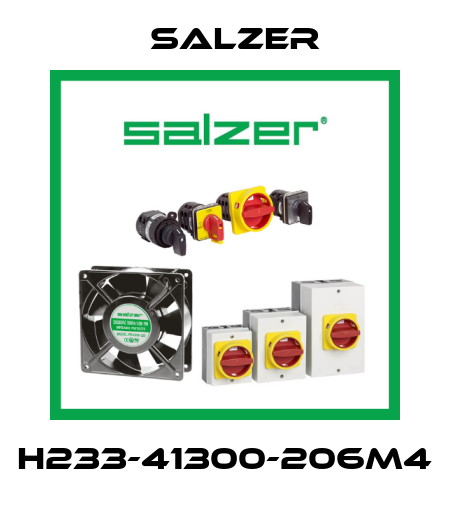 H233-41300-206M4 Salzer