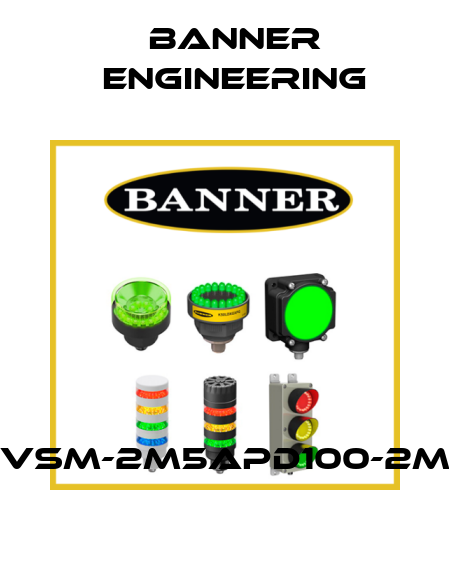 VSM-2M5APD100-2M Banner Engineering