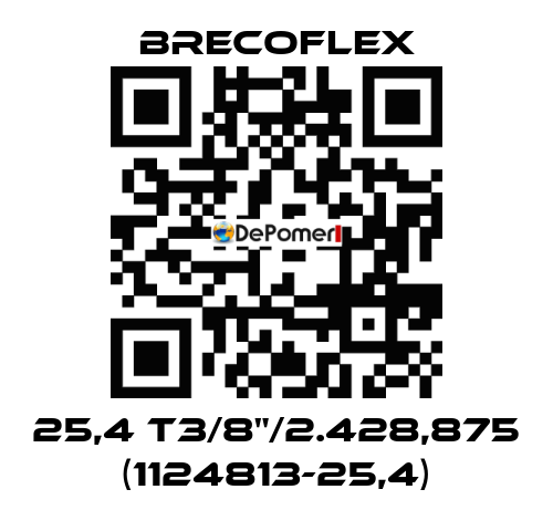 25,4 T3/8"/2.428,875 (1124813-25,4) Brecoflex