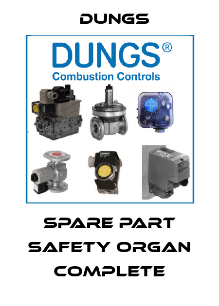 SPARE PART SAFETY ORGAN COMPLETE Dungs