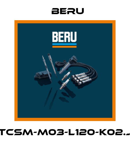 TCSM-M03-L120-K02.J Beru