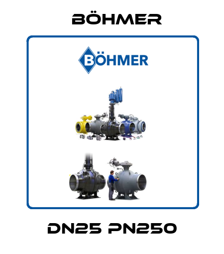DN25 PN250 Böhmer