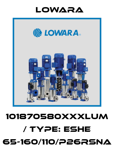 101870580XXXLUM / Type: ESHE 65-160/110/P26RSNA Lowara