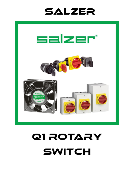 Q1 rotary switch Salzer