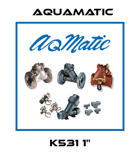 K531 1" AquaMatic