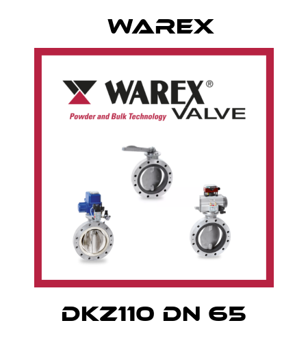 DKZ110 DN 65 Warex