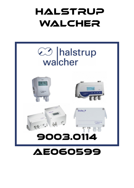 9003.0114 AE060599 Halstrup Walcher