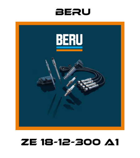 ZE 18-12-300 A1 Beru