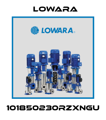 101850230RZXNGU Lowara