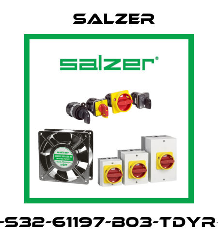32A-S32-61197-B03-TDYR-025 Salzer