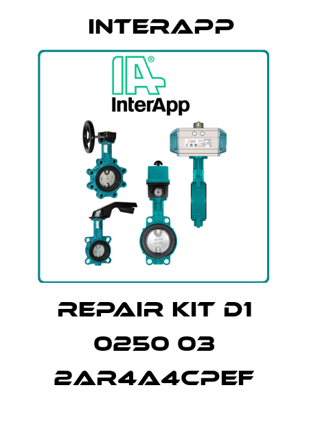 repair kit D1 0250 03 2AR4A4CPEF InterApp