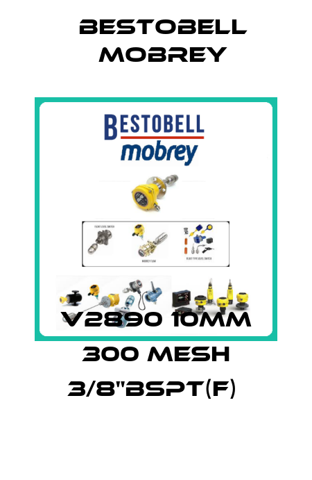V2890 10MM 300 MESH 3/8"BSPT(F)  Bestobell Mobrey