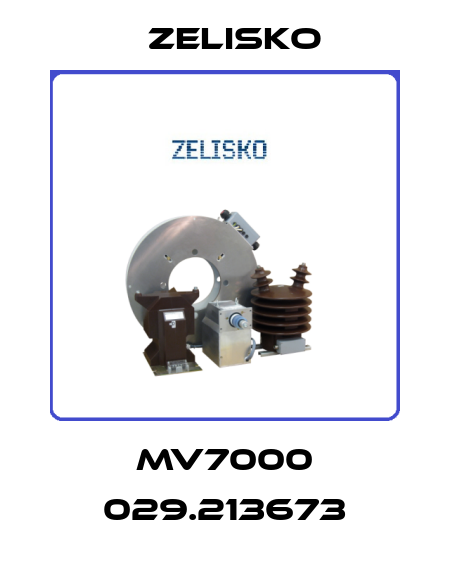 MV7000 029.213673 Zelisko