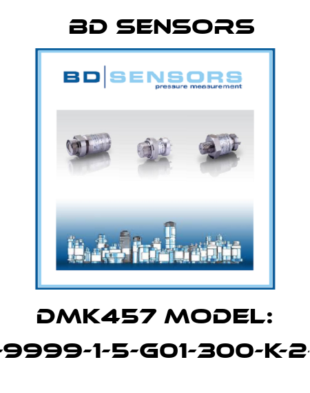 DMK457 Model: 590-9999-1-5-G01-300-K-2-000 Bd Sensors