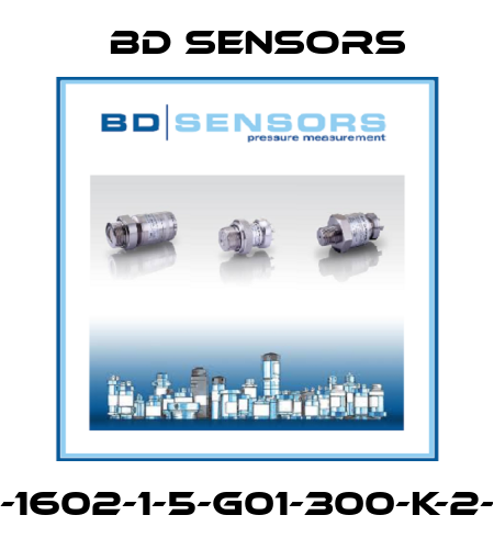 590-1602-1-5-G01-300-K-2-000 Bd Sensors