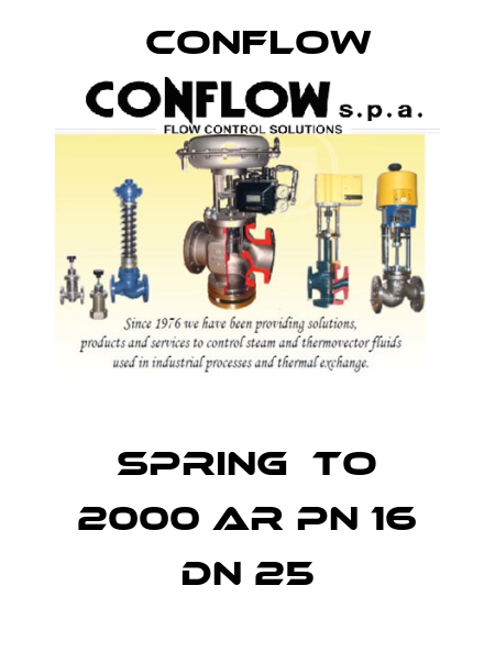 Spring  to 2000 Ar PN 16 DN 25 CONFLOW