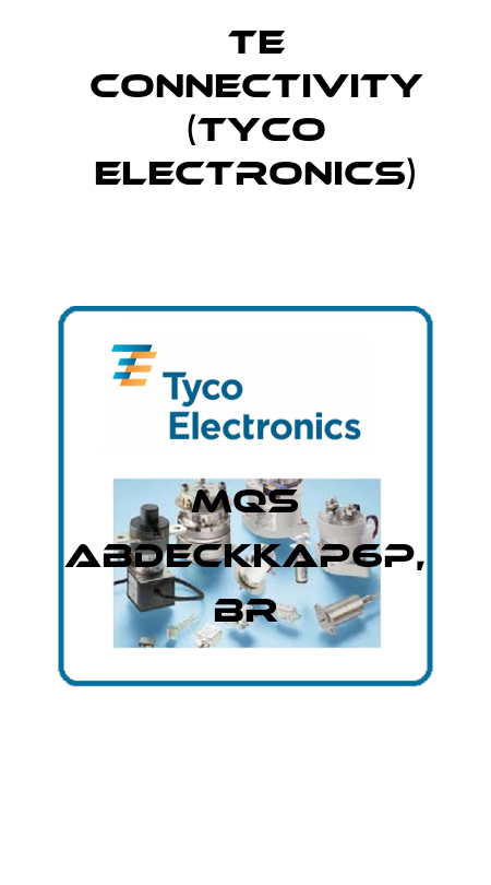 MQS ABDECKKAP6P, BR TE Connectivity (Tyco Electronics)