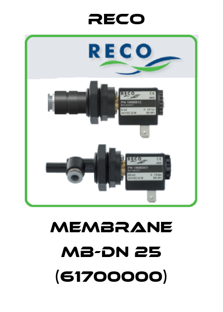 Membrane MB-DN 25 (61700000) Reco
