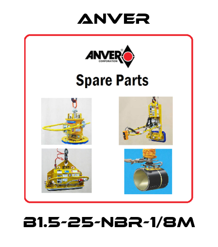 B1.5-25-NBR-1/8M Anver