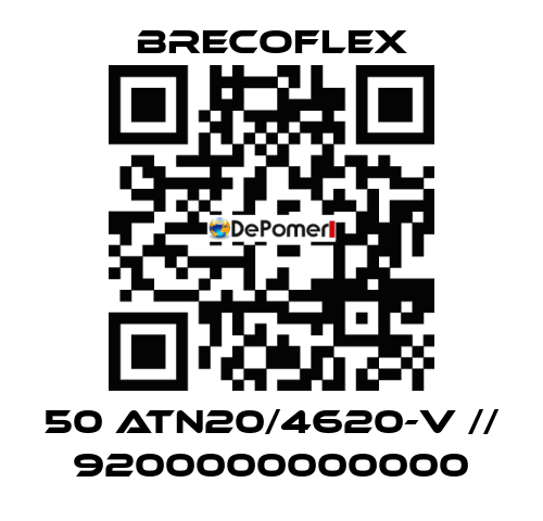 50 ATN20/4620-V // 9200000000000 Brecoflex