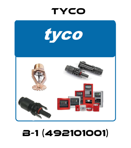 B-1 (492101001) TYCO