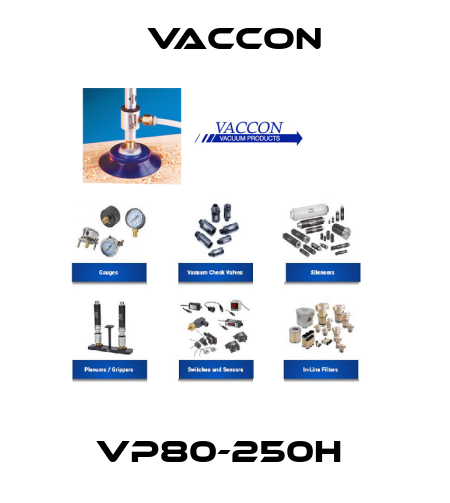 VP80-250H  VACCON