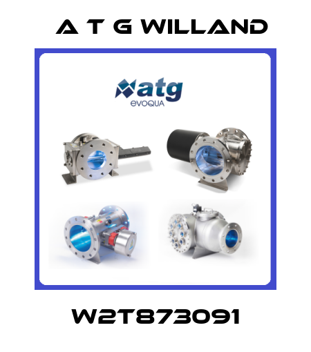 W2T873091 A T G Willand