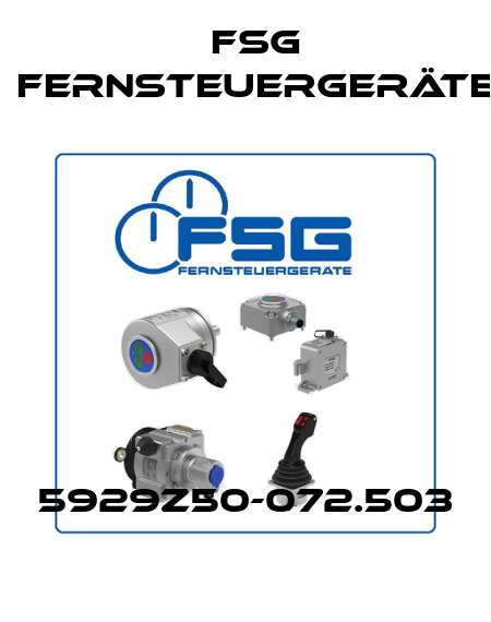 5929Z50-072.503 FSG Fernsteuergeräte
