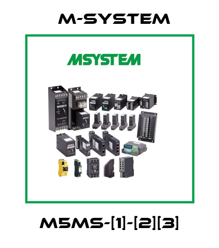 M5MS-[1]-[2][3] M-SYSTEM