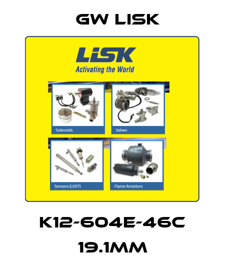 K12-604E-46C 19.1MM Gw Lisk