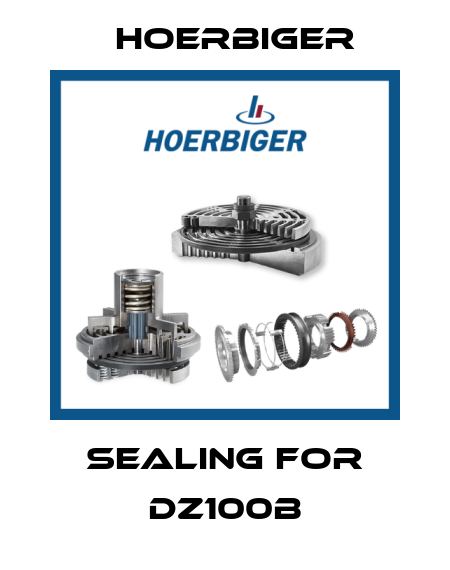 sealing for DZ100B Hoerbiger