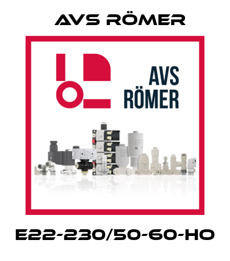 E22-230/50-60-HO Avs Römer
