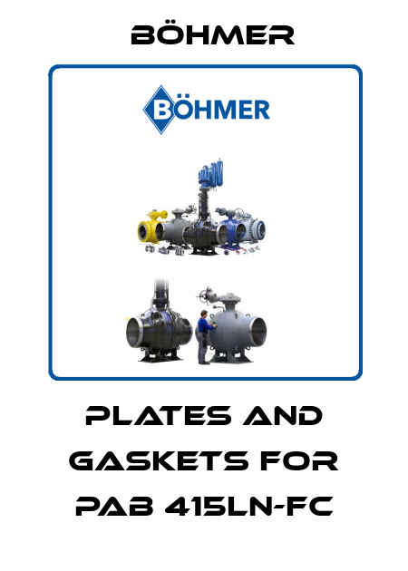 plates and gaskets for PAB 415LN-FC Böhmer
