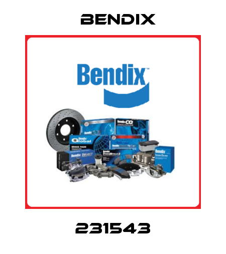 231543 Bendix