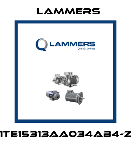 1TE15313AA034AB4-Z Lammers
