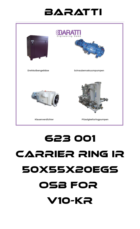 623 001 carrier ring IR 50x55x20EGS oSb for  v10-kr Baratti