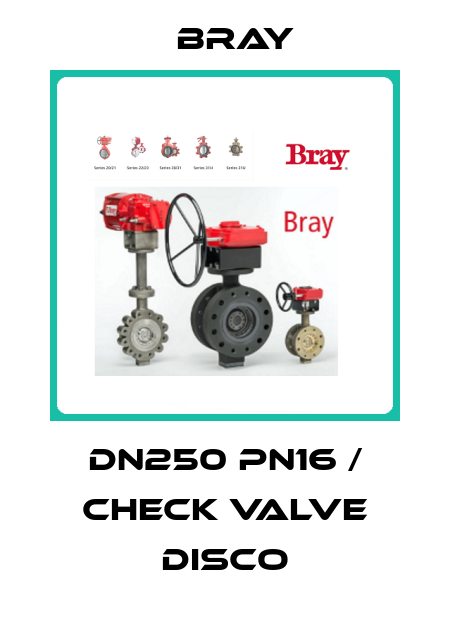 DN250 PN16 / CHECK VALVE DISCO Bray