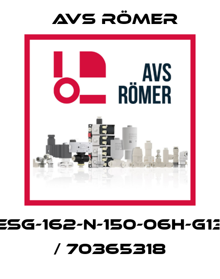 ESG-162-N-150-06h-G13 / 70365318 Avs Römer